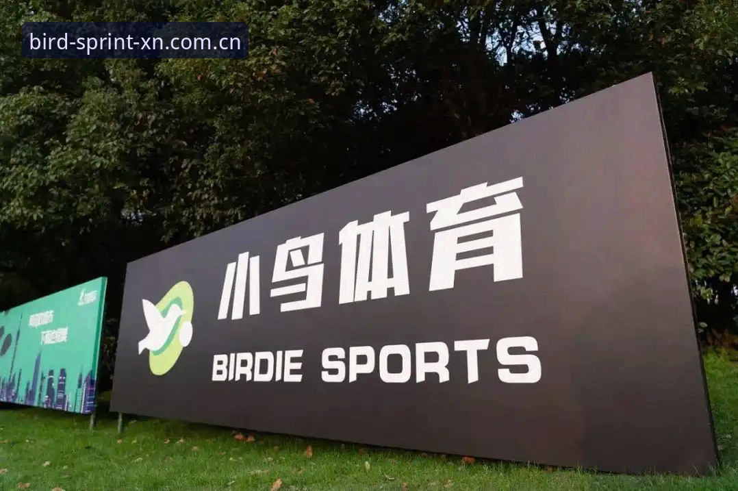 小鸟体育平台使用指南详解