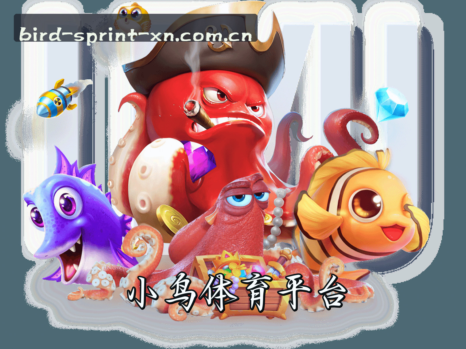 小鸟体育(XN)官方网站 - 赛事直播平台